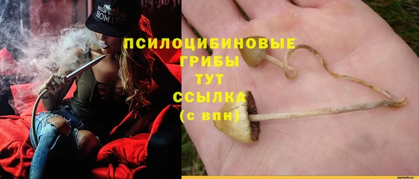 индика Бугульма