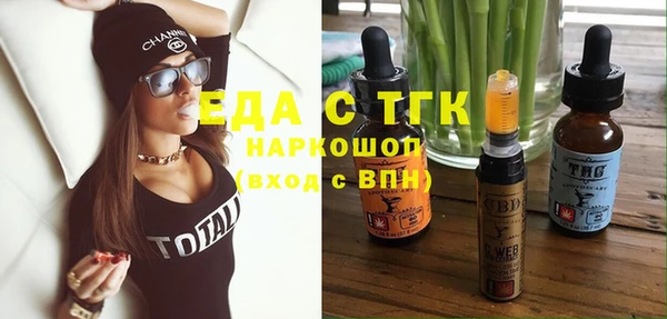 индика Бугульма
