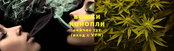 индика Бугульма