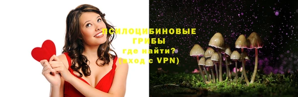 индика Бугульма