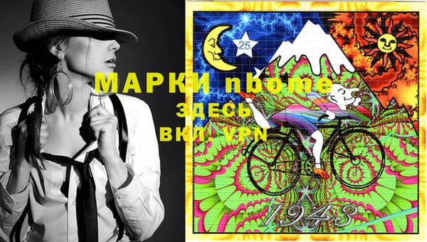 ешки Бородино