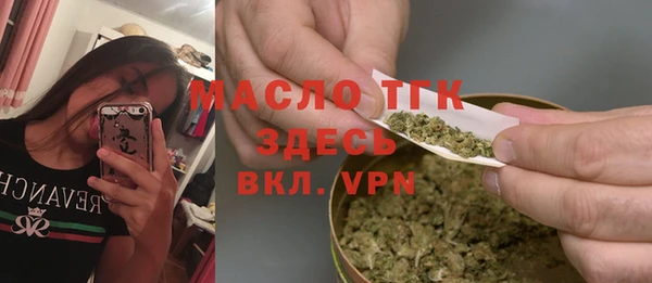 ешки Бородино