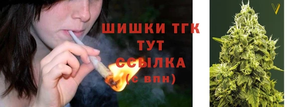 индика Бугульма