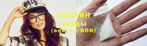 индика Бугульма