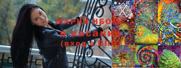 ешки Бородино