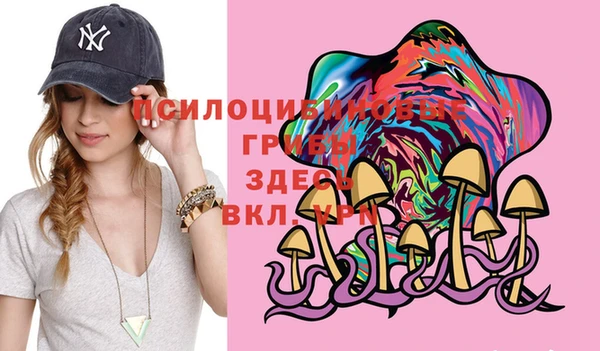 ешки Бородино