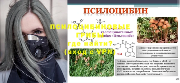 индика Бугульма