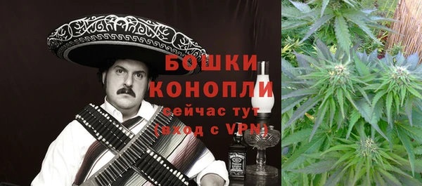 индика Бугульма