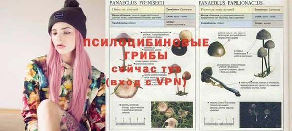каннабис Бронницы