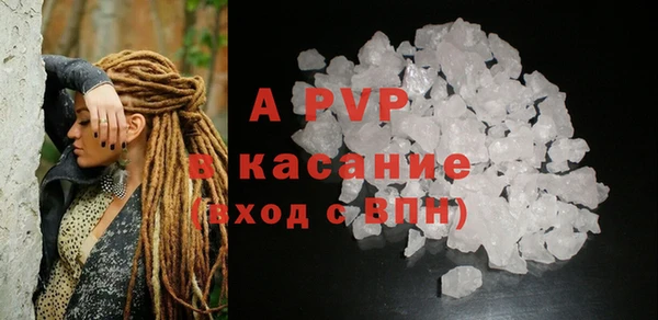 ешки Бородино