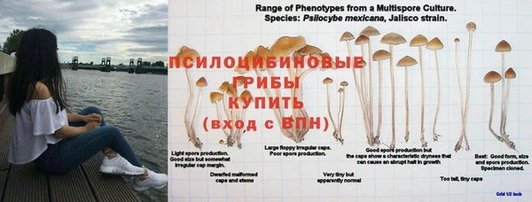 каннабис Бронницы