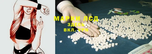 индика Бугульма